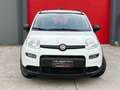 Fiat Panda 1.0 HYBRID CITYLIFE-*PROMOZIONE* Argent - thumbnail 3