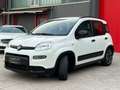 Fiat Panda 1.0 HYBRID CITYLIFE-*PROMOZIONE* Argent - thumbnail 4