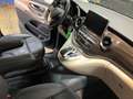 Mercedes-Benz Marco Polo MarcoPolo 300d EDITION Küche DISTR WW-Standh AHK Bleu - thumbnail 16