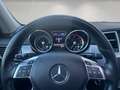 Mercedes-Benz ML 250 BlueTEC 4MATIC Off-Roader/Pano/KeylessGO/Memory/SH Schwarz - thumbnail 10