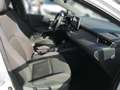 Suzuki Swace 1.8 HEV E-CVT SHINE Kam. ACC DynLicht LED Fehér - thumbnail 15