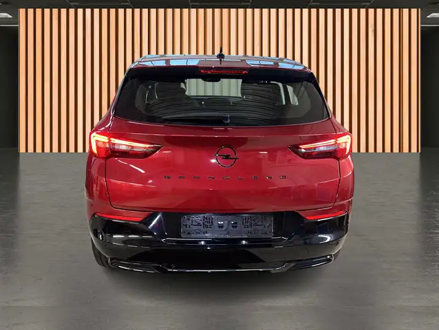 Opel Grandland X view 22