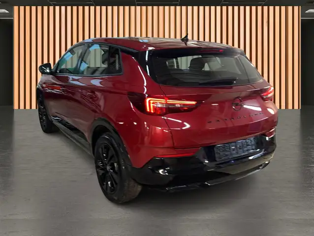 Opel Grandland X view 4