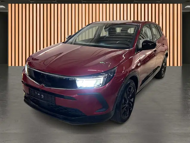 Opel Grandland X view 2