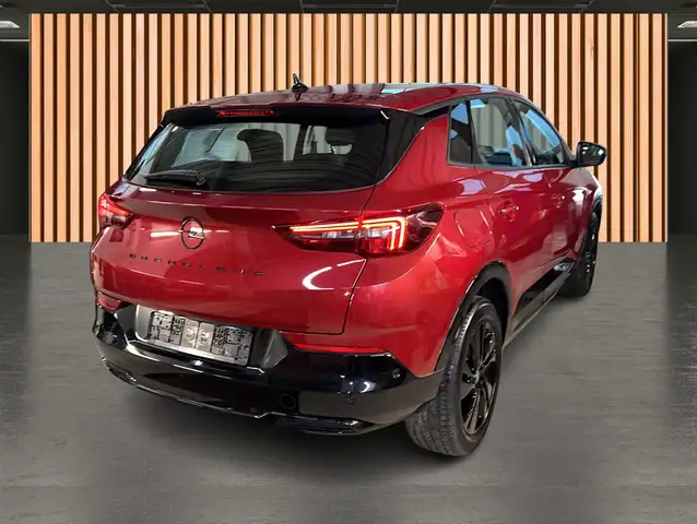 Opel Grandland X view 21