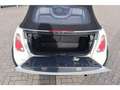 MINI One Cabrio Mini Cabrio 1.6 Pepper | Lees Tekst | Zo Mee | Rea Blanc - thumbnail 16