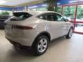 Jaguar E-Pace 2.0D 150 CV AWD aut. Beige - thumbnail 5