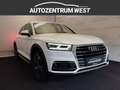 Audi Q5 3.0 TDI 45 TDI sport quattro...MATRIX/AHK/Pano Weiß - thumbnail 5