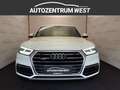 Audi Q5 3.0 TDI 45 TDI sport quattro...MATRIX/AHK/Pano Weiß - thumbnail 3