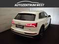 Audi Q5 3.0 TDI 45 TDI sport quattro...MATRIX/AHK/Pano Weiß - thumbnail 7