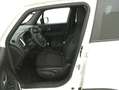 Jeep Renegade 80th Anniversary 1.0 Benzina 120CV Bianco - thumbnail 10