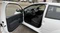 Renault Twingo 1.2 LEV 16V 75 Dynamique Eco-Drive Weiß - thumbnail 9