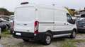 Ford Transit L2 H2 V363 TREND 2.0tdi 130cv TELECAM ANDROID/IOS Bianco - thumbnail 5