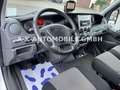 Iveco Daily 35S14 Kasten HOCH/LANG*LUFTFD*GARTENAUFBAU Weiß - thumbnail 40