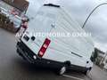 Iveco Daily 35S14 Kasten HOCH/LANG*LUFTFD*GARTENAUFBAU Weiß - thumbnail 11