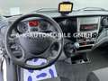 Iveco Daily 35S14 Kasten HOCH/LANG*LUFTFD*GARTENAUFBAU Weiß - thumbnail 14