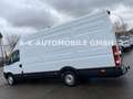Iveco Daily 35S14 Kasten HOCH/LANG*LUFTFD*GARTENAUFBAU Weiß - thumbnail 39