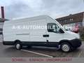 Iveco Daily 35S14 Kasten HOCH/LANG*LUFTFD*GARTENAUFBAU Weiß - thumbnail 12