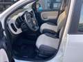 Fiat Panda Panda 0.9 TwinAir Turbo S&S Easy Automatica 85 CV Bianco - thumbnail 10