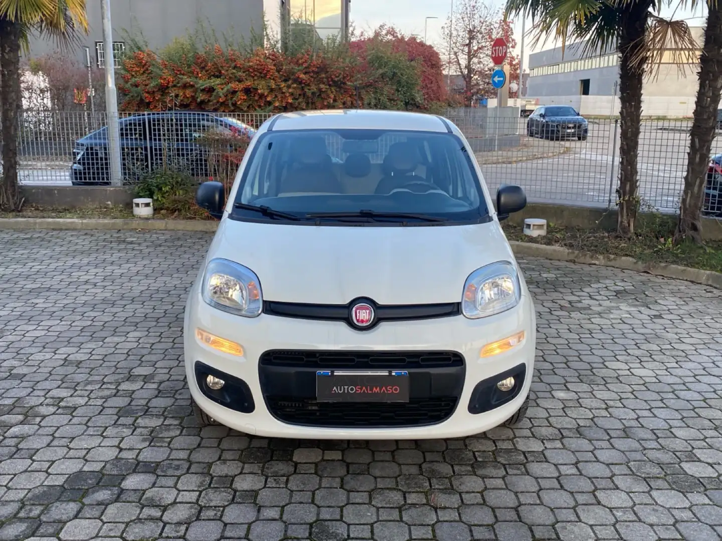 Fiat Panda Panda 0.9 TwinAir Turbo S&S Easy Automatica 85 CV Bianco - 2