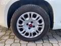 Fiat Panda Panda 0.9 TwinAir Turbo S&S Easy Automatica 85 CV Bianco - thumbnail 9