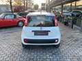 Fiat Panda Panda 0.9 TwinAir Turbo S&S Easy Automatica 85 CV Bianco - thumbnail 5