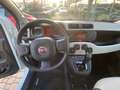 Fiat Panda Panda 0.9 TwinAir Turbo S&S Easy Automatica 85 CV Bianco - thumbnail 11