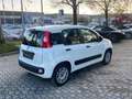 Fiat Panda Panda 0.9 TwinAir Turbo S&S Easy Automatica 85 CV Bianco - thumbnail 6