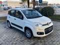 Fiat Panda Panda 0.9 TwinAir Turbo S&S Easy Automatica 85 CV Bianco - thumbnail 3