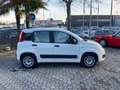 Fiat Panda Panda 0.9 TwinAir Turbo S&S Easy Automatica 85 CV Bianco - thumbnail 7
