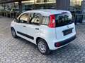 Fiat Panda Panda 0.9 TwinAir Turbo S&S Easy Automatica 85 CV Bianco - thumbnail 4
