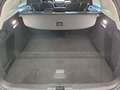 Ford Focus Turnier 1,5 EcoBlue Titanium Edition Aut. Blau - thumbnail 5