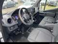 Mercedes-Benz Sprinter Sprinter 316 DOKA Pritsche standard STH/DIS/AHK Weiß - thumbnail 10