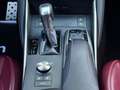 Lexus IS 300 300h F-Sport Cuero Blau - thumbnail 33