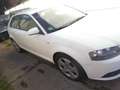Audi A3 1.9 TDI S line Sportpaket plus Weiß - thumbnail 4