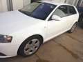Audi A3 1.9 TDI S line Sportpaket plus Weiß - thumbnail 5