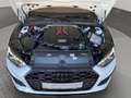 Audi S5 Sportback (NAVI.PDC.Head-Up.AHK.Matrix-LED.SHZ vo+ Blanc - thumbnail 15
