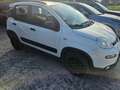 Fiat Panda 0.9 TwinAir Turbo S&S 4x4 Weiß - thumbnail 14