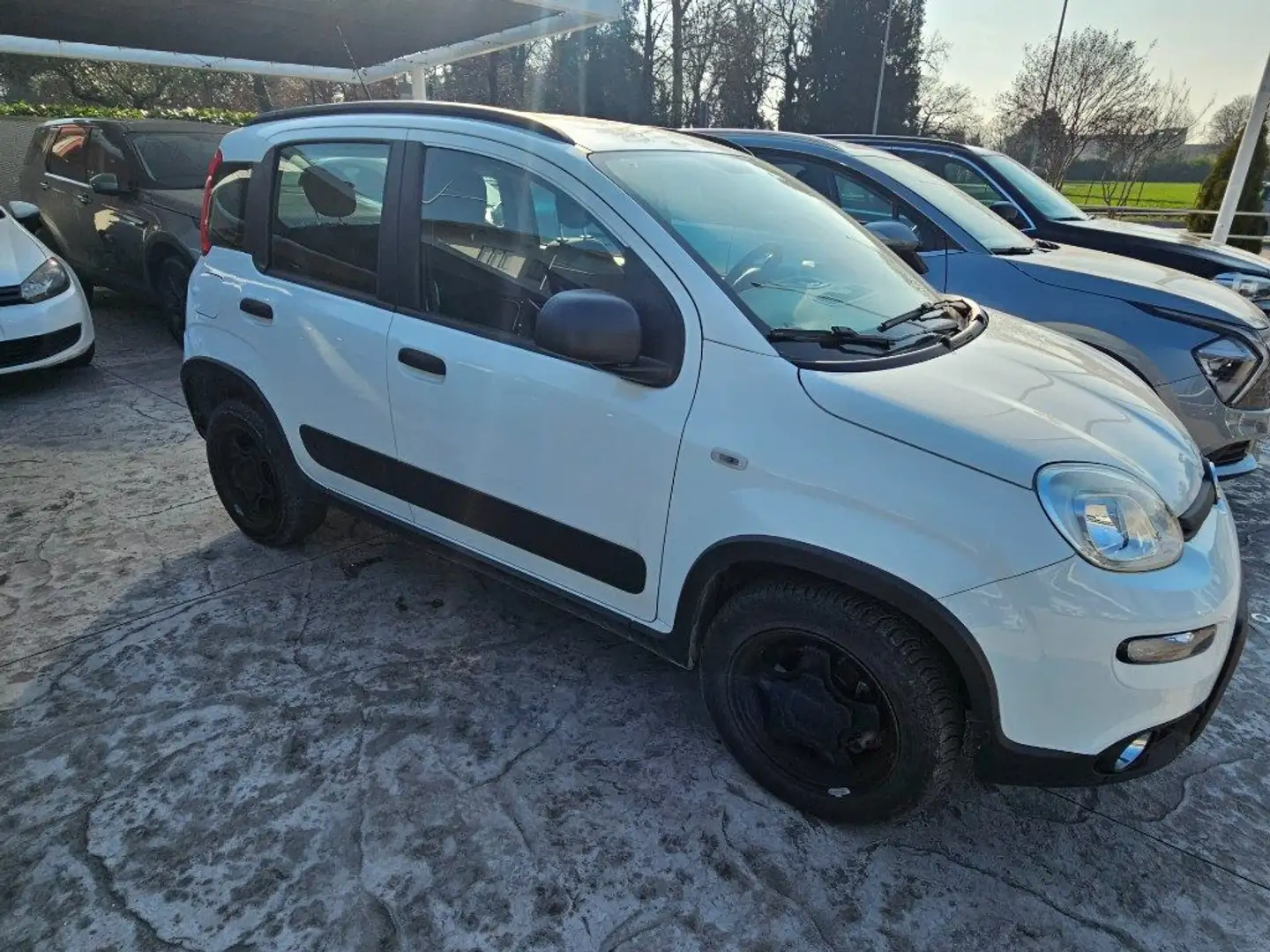 Fiat Panda 0.9 TwinAir Turbo S&S 4x4 Weiß - 2