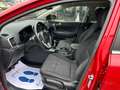 Kia Sportage 1.6 Gdi Business Class 2wd 132cv 41000KM UNIPROP Rot - thumbnail 6