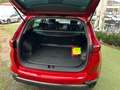 Kia Sportage 1.6 Gdi Business Class 2wd 132cv 41000KM UNIPROP Rot - thumbnail 14