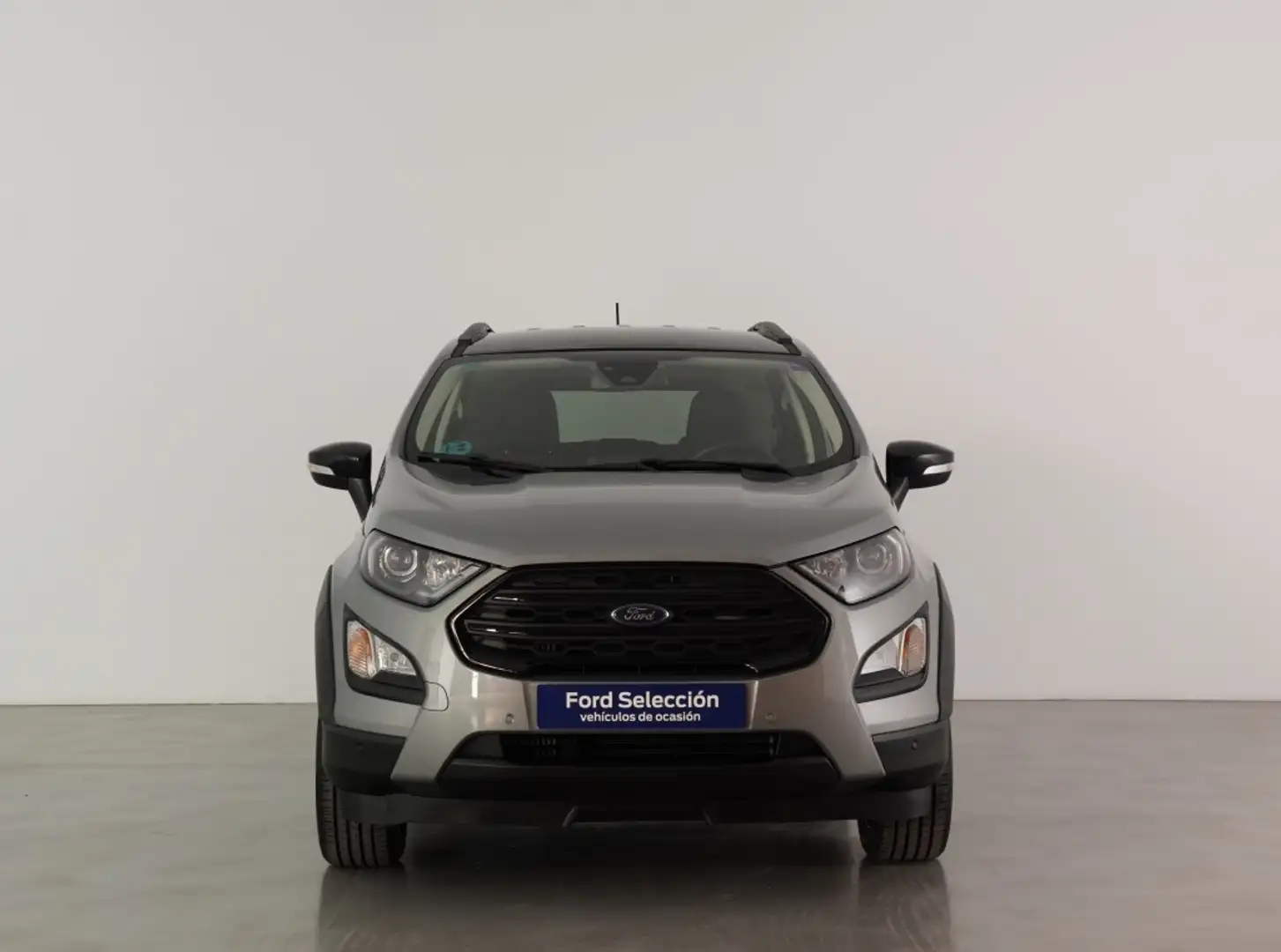 Ford EcoSport 1.0 EcoBoost Active 125 Plateado - 2
