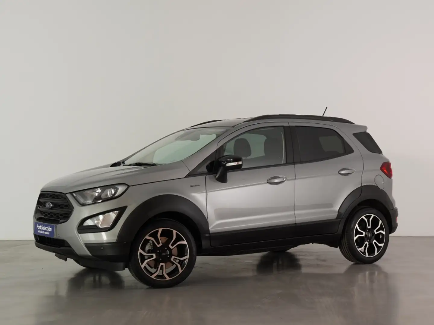 Ford EcoSport 1.0 EcoBoost Active 125 Plateado - 1
