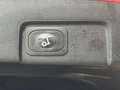 Ford Puma 1.0 EcoBoost Hybrid ST-Line X Navi Cruise Panorama Rot - thumbnail 8