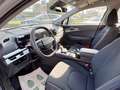 Kia Sportage 1.6 TGDi HEV AT Business Grigio - thumbnail 11