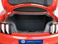 Ford Mustang Fastback 5.0 Ti-VCT V8 Aut. MACH1 Rot - thumbnail 6