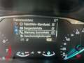 Ford Puma 1.0 EcoBoost Titanium S/S *R.KAM *AHK Klima Navi Zilver - thumbnail 15