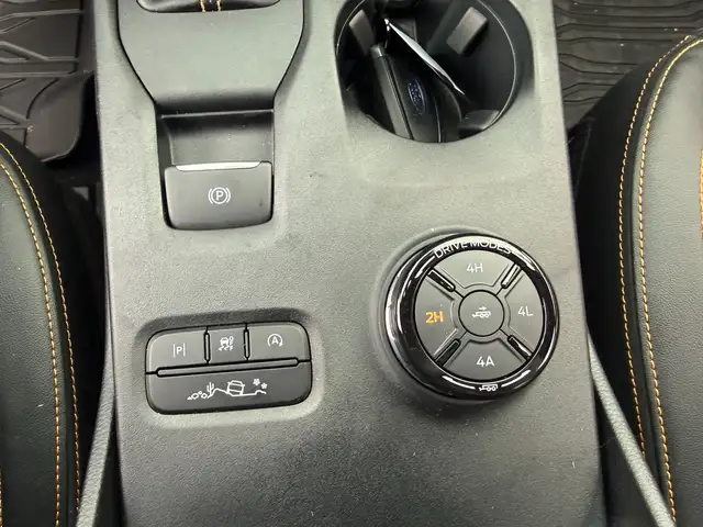 Ford Ranger Ranger Doppelkabine Wildtrak 4x4 2,0 Aut. Ansicht 12