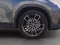 Lexus NX 450h+ 2.5 phev luxury 4wd 309cv e-cvt Grau - thumbnail 11