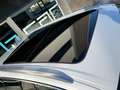 Audi Q7 50 3.0 tdi mhev quattro tiptronic 7posti S line. Wit - thumbnail 21